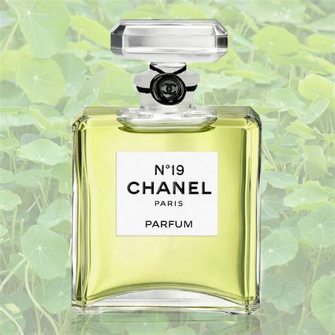 chanel parfum grün